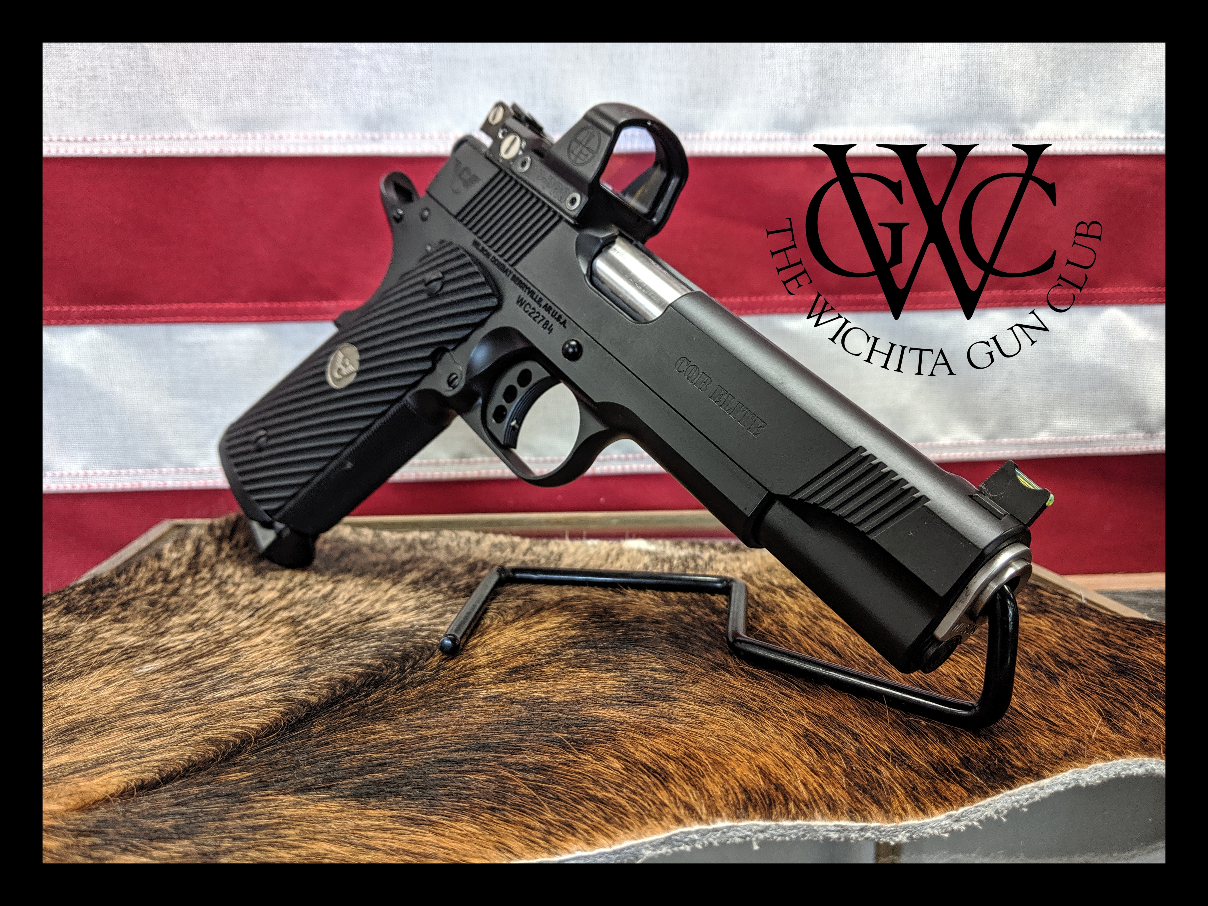 Wilson Combat CQB Elite w/ Leupold Delta Point Pro