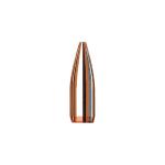 22 CALIBER (0.224'') 52GR HOLLOW POINT BOAT TAIL 100/BOX