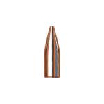 22 CALIBER (0.224'') 53GR HOLLOW POINT 100/BOX