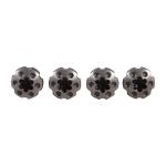 DPL SCREWS(4) FULL SIZE