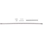 WOLFF KIT 18055