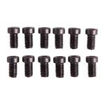 6-48X1/4'' T-10 FILLSTER HEAD SCREWS 12 PACK