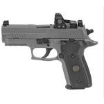 P229 9MM 3.9''  LEGION GRAY DA/SA X-RAY G10 10RD
