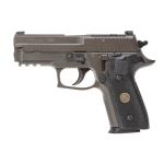 P229 9MM 3.9''  LEGION GRAY/BLK G10 GRIP X-RAY3 10RD