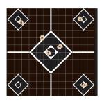 VISISHOT SIGHT-IN TARGETS 10/PACK