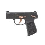 P365-380 ROSE MICRO-COMP 380 AUTO 3.1'' BBL (2)10RD MAGS