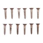 3X1/2'' STEEL FLAT HEAD WOOD SCREWS BLUED 12 PACK