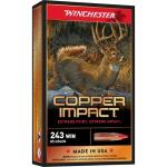 243 WINCHESTER 85GR COPPER EXTREME POINT LEAD FREE 20/BOX