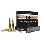 243 WINCHESTER 100GR ACCUBOND SPITZER PARTITION 20/BOX
