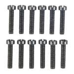 12-28X1'' SLOTTED FILLISTER HEAD SCREWS 12 PACK