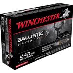 243 WINCHESTER 95GR BALLISTIC SILVER TIP 20/BOX