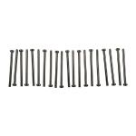 #6 BLANK SCREW REFILL 20 PACK