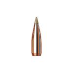 22 CALIBER (0.224'') 35GR NTX 100/BOX