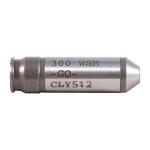 300 WSM GO GAUGE