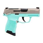 P365-380 MICRO-COMP 380 ACP 3.1'' BBL (2)10RD MS STRIKER RBEB