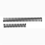 J-FRAME HAMMER/TRIGGER SPRING PAK