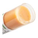 SAECO GOLD BULLET LUBE - SOLID