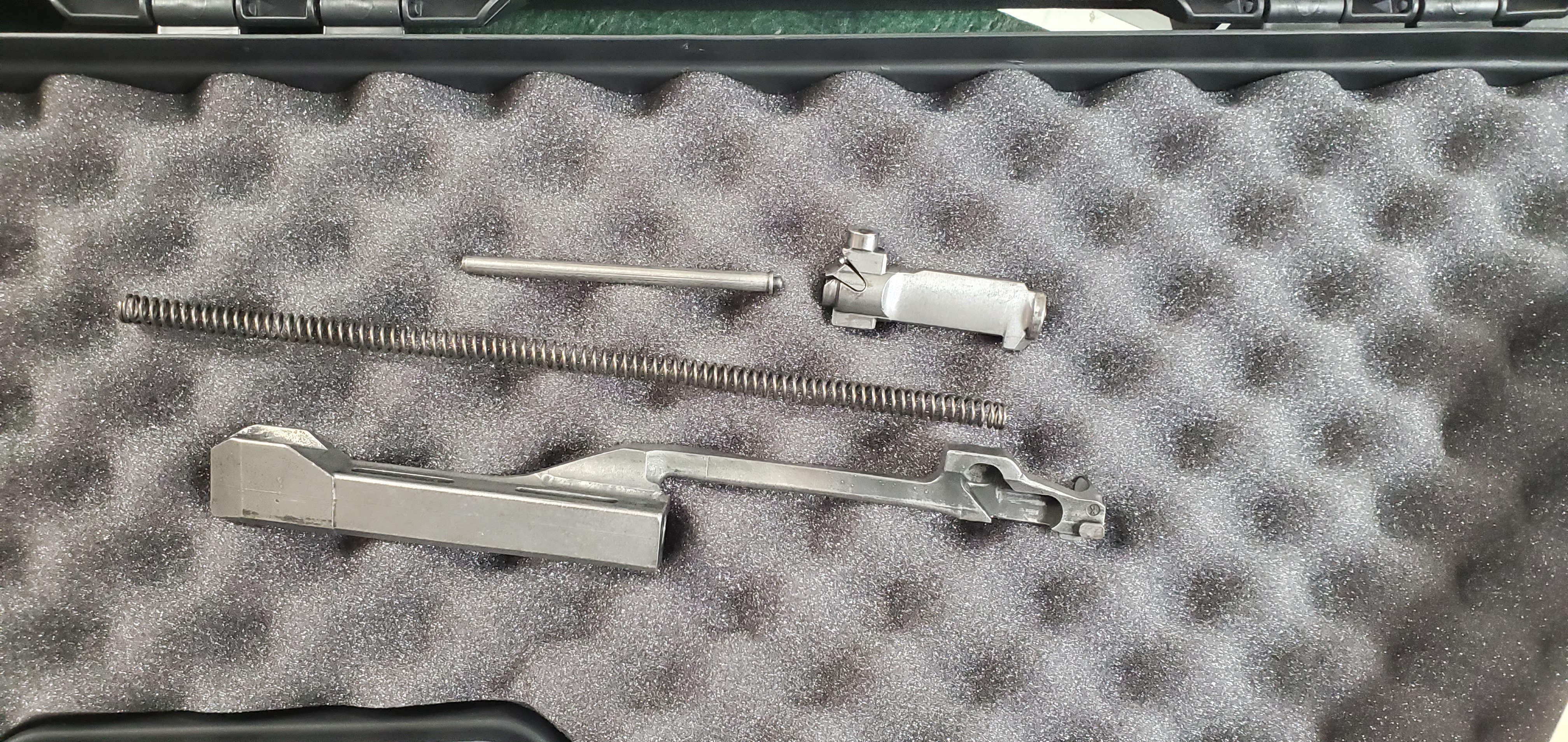 Ruger AC556 Stainless Folder