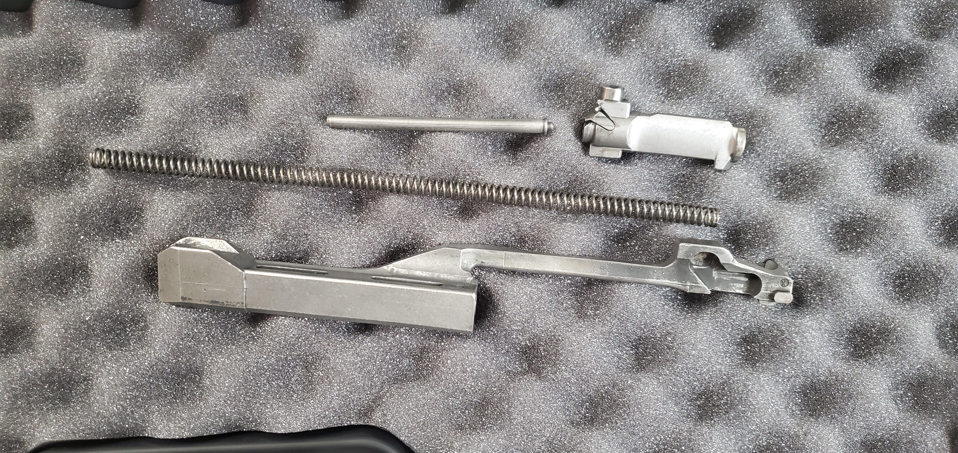 Ruger AC556 Stainless Folder